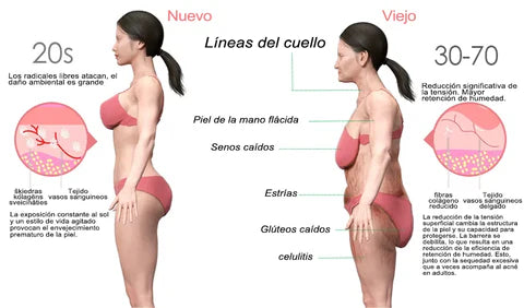 ¡Descubre ahora el aceite Lifting para levantamiento de espalda y senos!